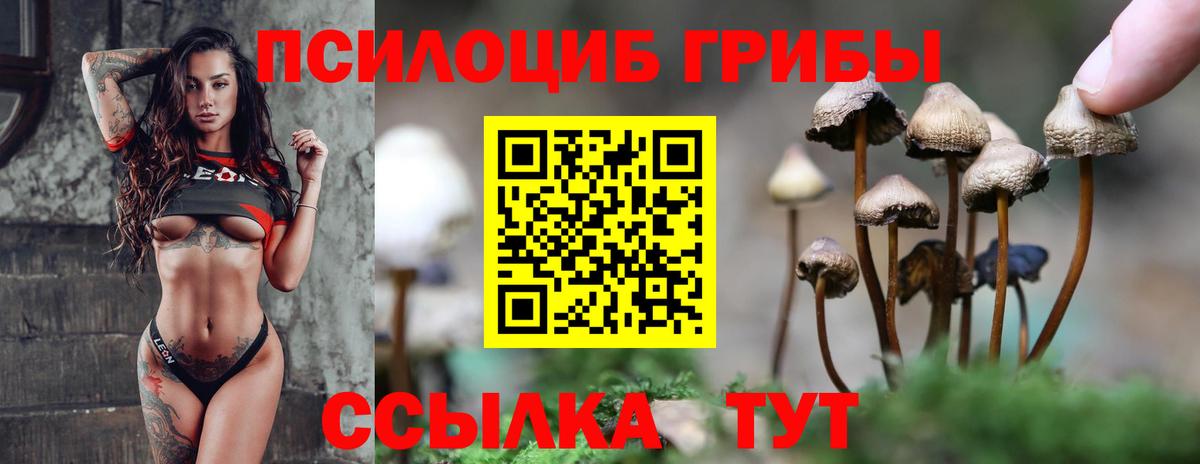 Первоуральск  Галлюциногенные грибы ЛСД  Вход с VPN 